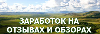 Сколько можно заработать на отзывах?